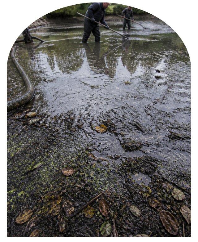 Очистка пруда в Брянске от ила мусора и водорослей с вывозом